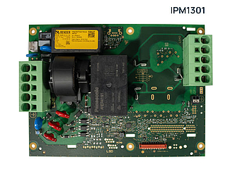 IPM1301