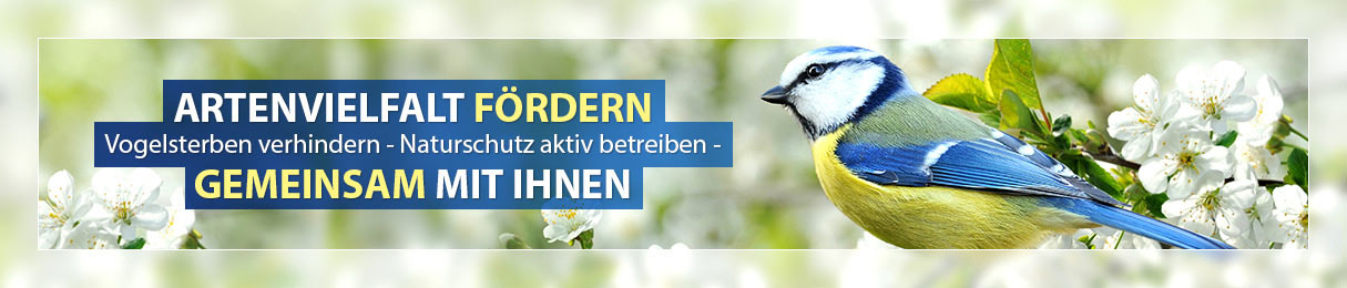Vogelschutz Vogelschutz