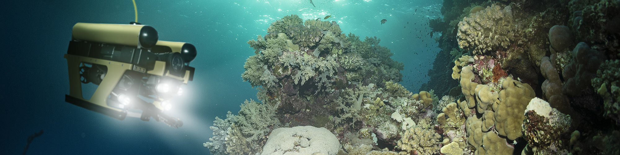 Subsea Subsea